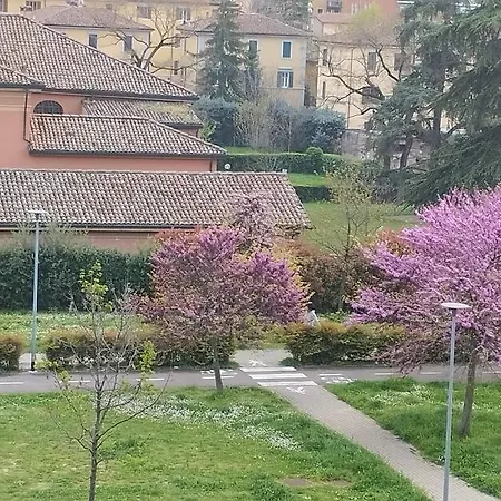 Casa Vacanze Santa Viola Di L.s. Appartamento